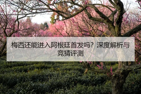 梅西还能进入阿根廷首发吗？深度解析与竞猜评测