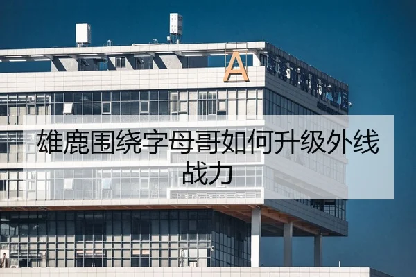 雄鹿围绕字母哥如何升级外线战力